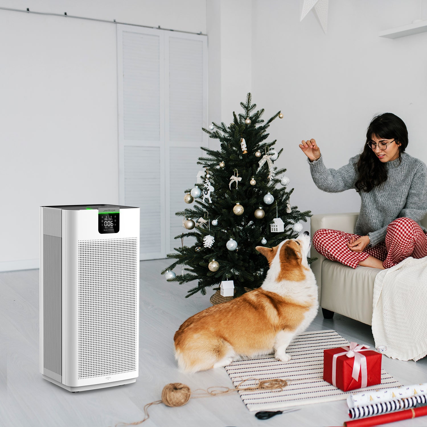 A Breath of Fresh Air: Purify Your Home This Christmas