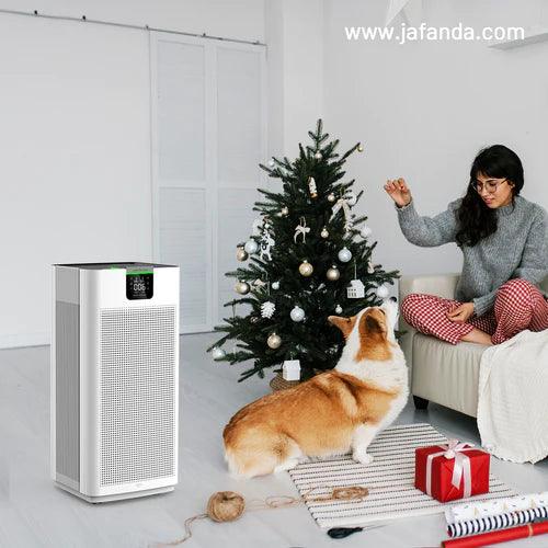 Zoonotic Diseases from Pets: Understanding Risks, Purifying Air, Protecting Health - Jafanda