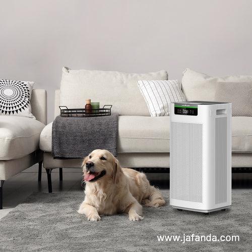 Debunking the Air Purifier Filter Efficiency Myth: Understanding the True Factors that Affect Purification Effectiveness - Jafanda