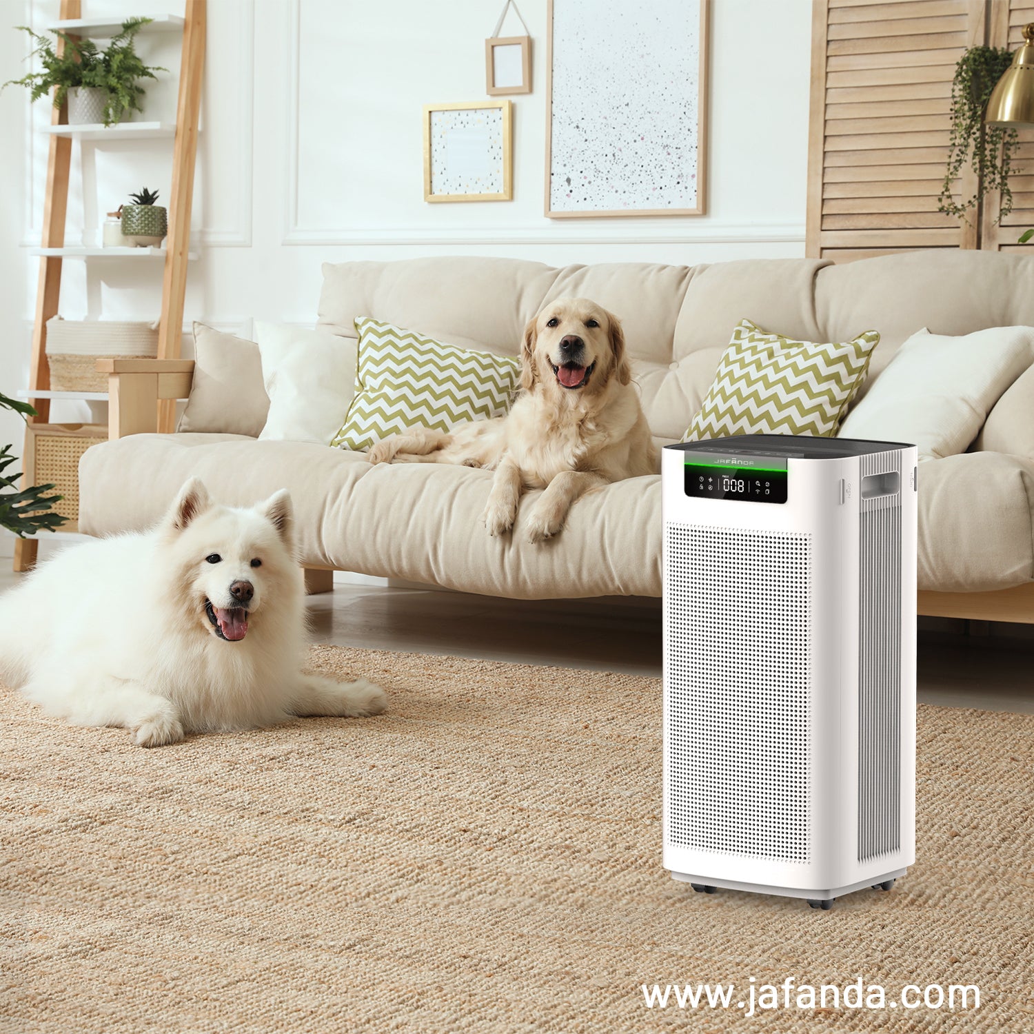 Unleash the Power of Clean Air: Jafanda Air Purifiers for Pet-Friendly Homes