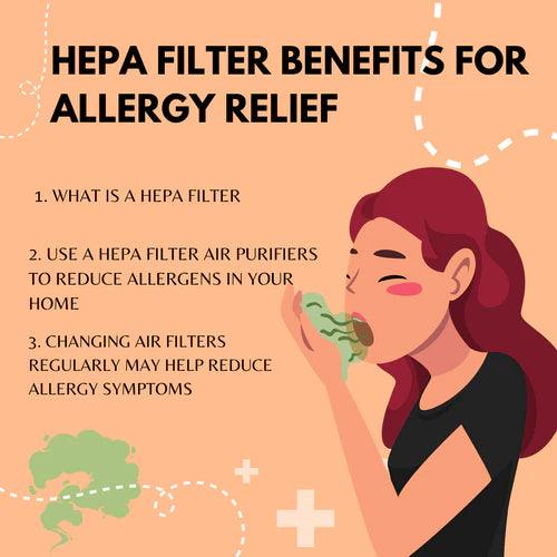 HEPA Filter Benefits for Allergy Relief - hepa filter for allergies - Jafanda