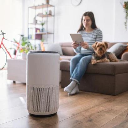 Can air purifiers help with pet allergies? - Jafanda