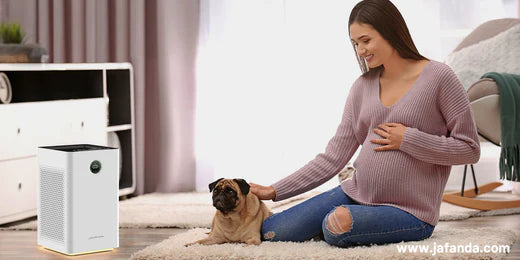 Air Purifier for Pregnancy: Requirements and Considerations for Ensuring Air Quality