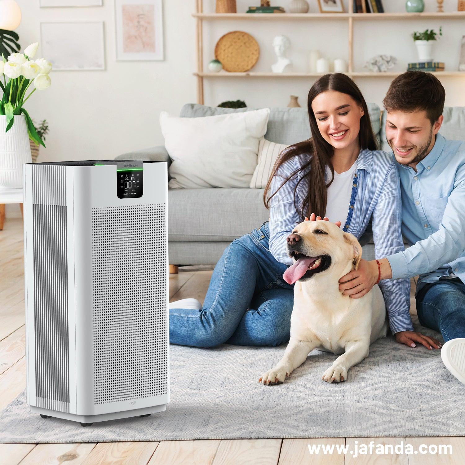 Is Your Air Purifier a Dud? Unmasking the Hidden Dangers of Dirty Air - Jafanda