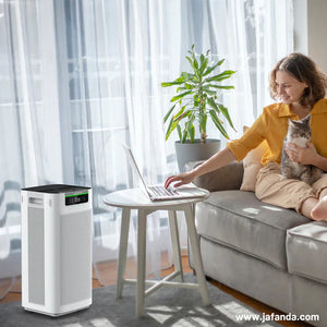 Choosing the Right Air Purifier For Forest Fire Smoke to Combat Pollution from Forest Fire Smoke