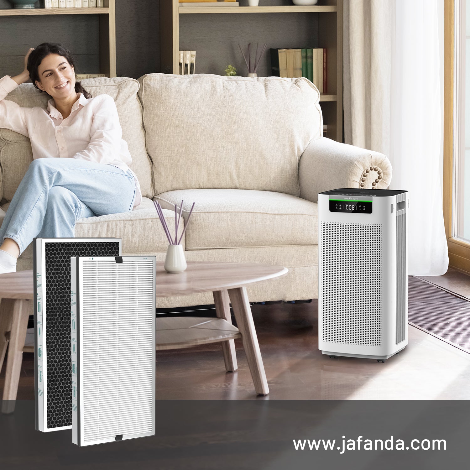 How Air Purifiers Conquer Allergies