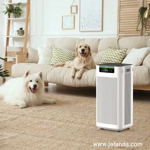 Pet Air Purifier: Effective Solutions for Cleaner Air with Pets