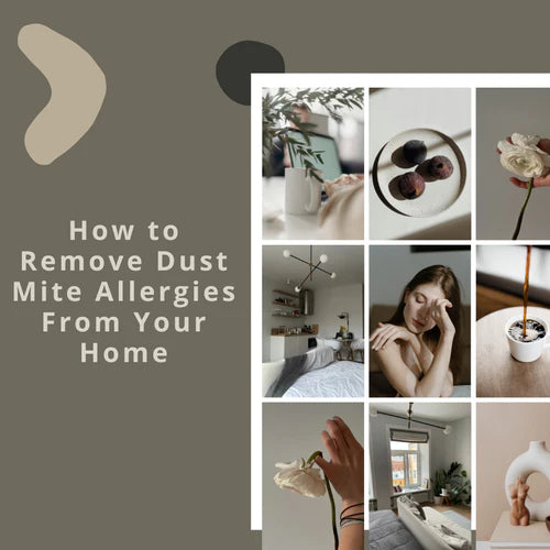 How to Remove Dust Mite Allergies From Your Home
