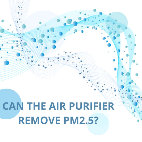 Do air purifiers remove pm2.5?