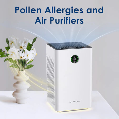 Air Purifier And Pollen Allergies