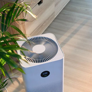 Can air purifiers get rid of dust mites?