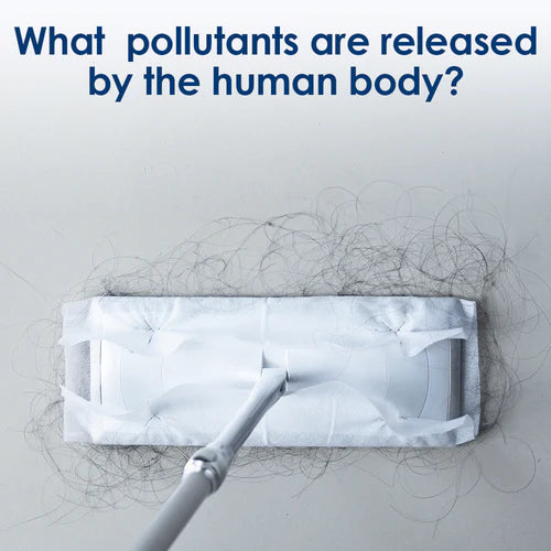 What  pollutants are released by the human body?