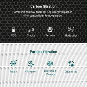 Jafända JF888 Air Purifier Replacement Filter, 2 Pack Activated Carbon Filters for Removing Ammonia, Amine, Mercaptan, Pet Odor, Body Odor and Smoke - Jafanda